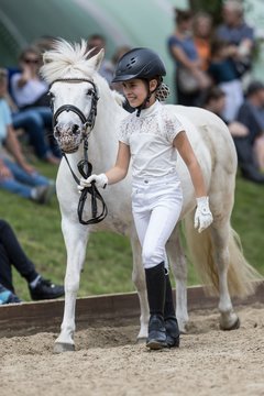 Bild 134 - Pony Akademie Turnier